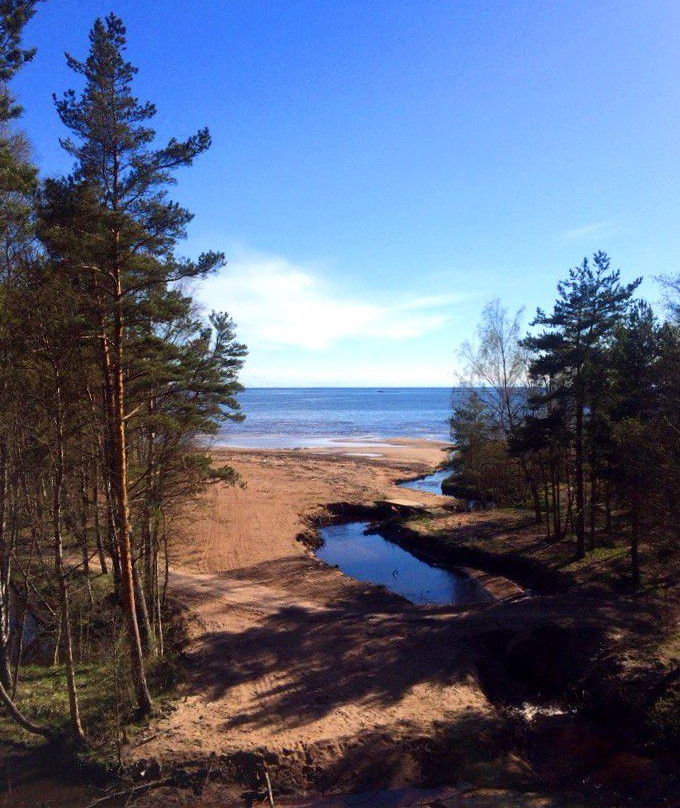 Norway Park Okunyovaya景点图片