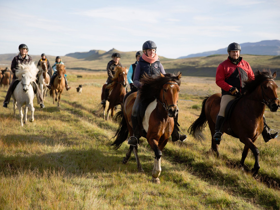 Hestasport - Riding Tours