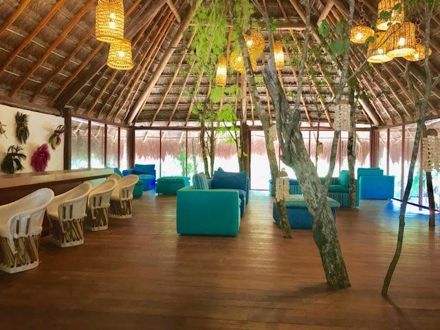 Ecovergel Riviera Maya
