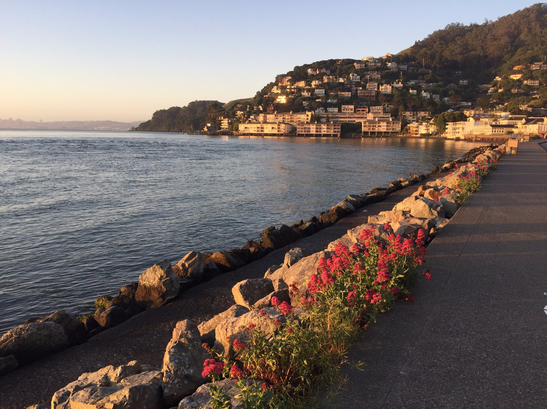 索萨利托酒店住宿-野草莓Spa酒店