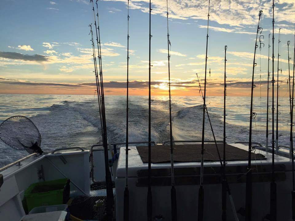 Mindarie Fishing Charters景点图片