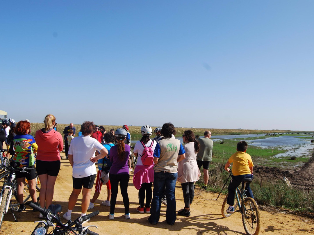 Guadiamar Educa Corredor Verde景点图片