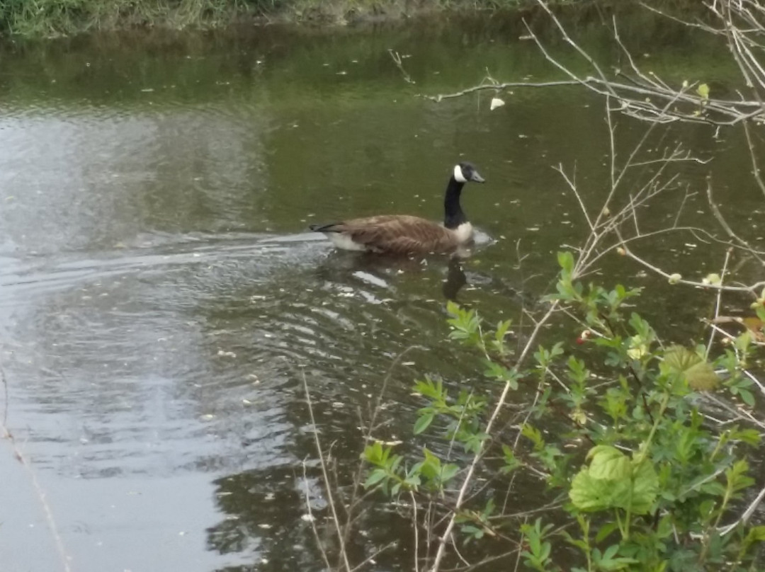 Manokin River Park-Princess Anne必去景点