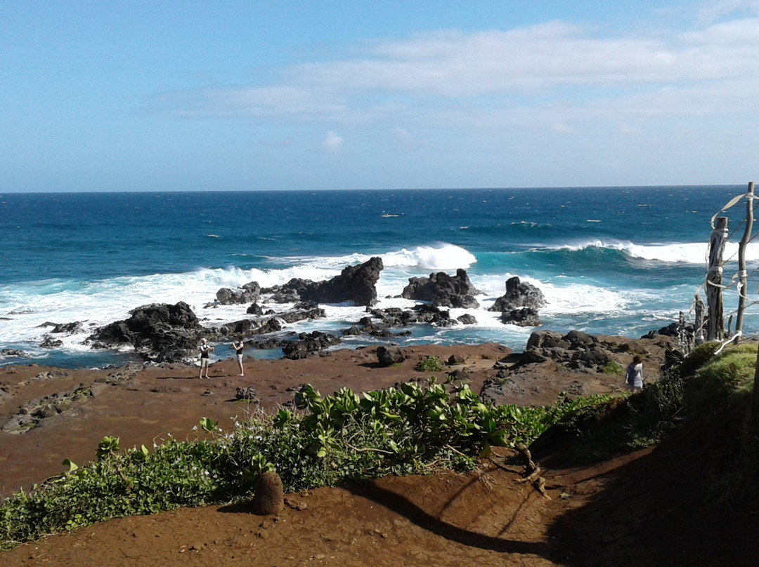 Taste of Maui Island Tours-卡胡卢伊必去景点
