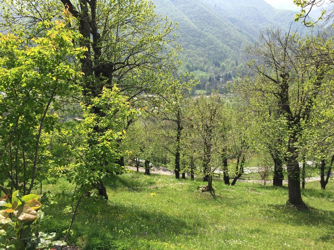 Pamparato旅游攻略图片