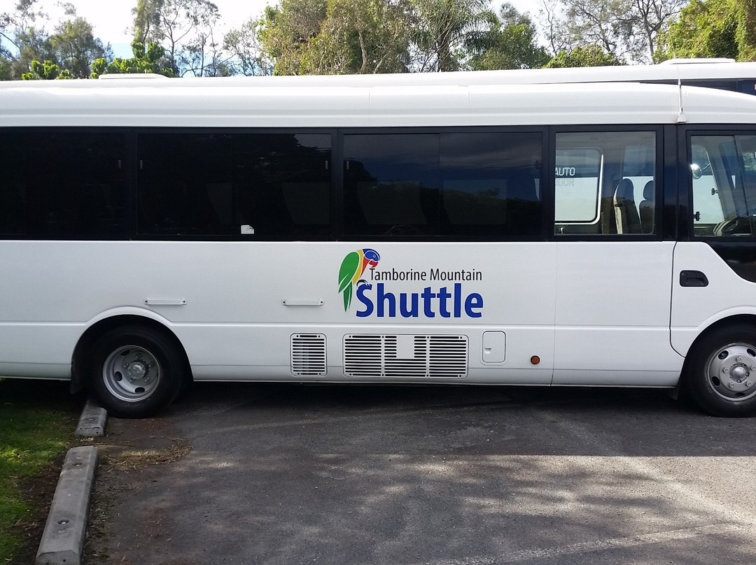Tamborine Mountain Shuttle-黄金海岸必去景点