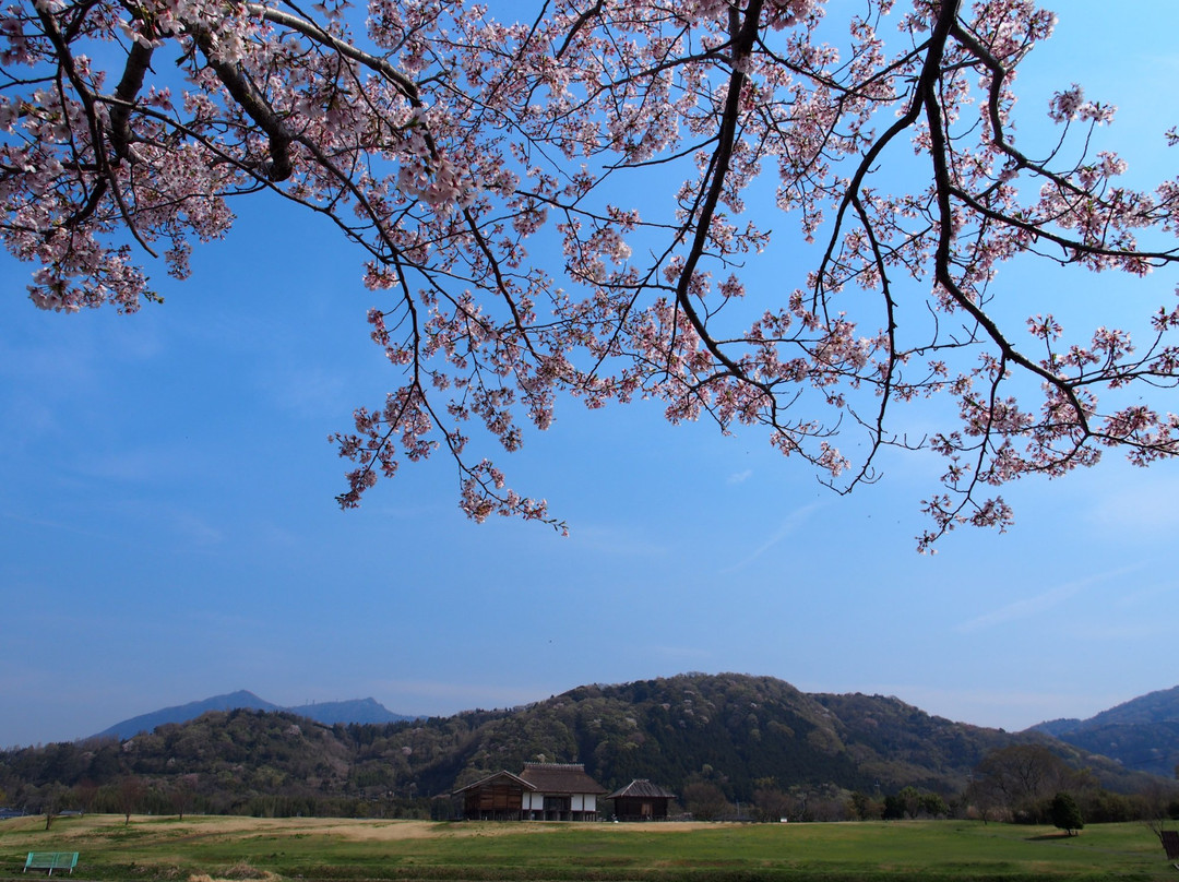 Hirasawa Kanga Ruins-筑波市必去景点