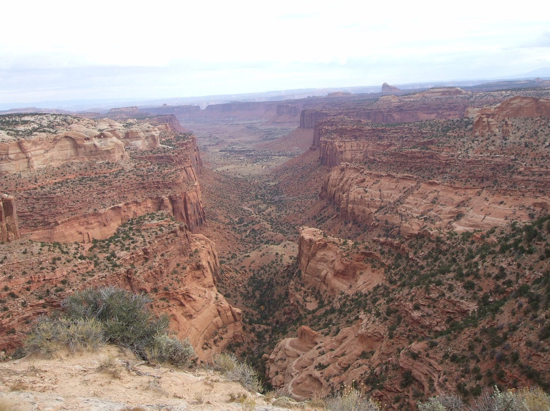 The Maze-峡谷地国家公园必去景点
