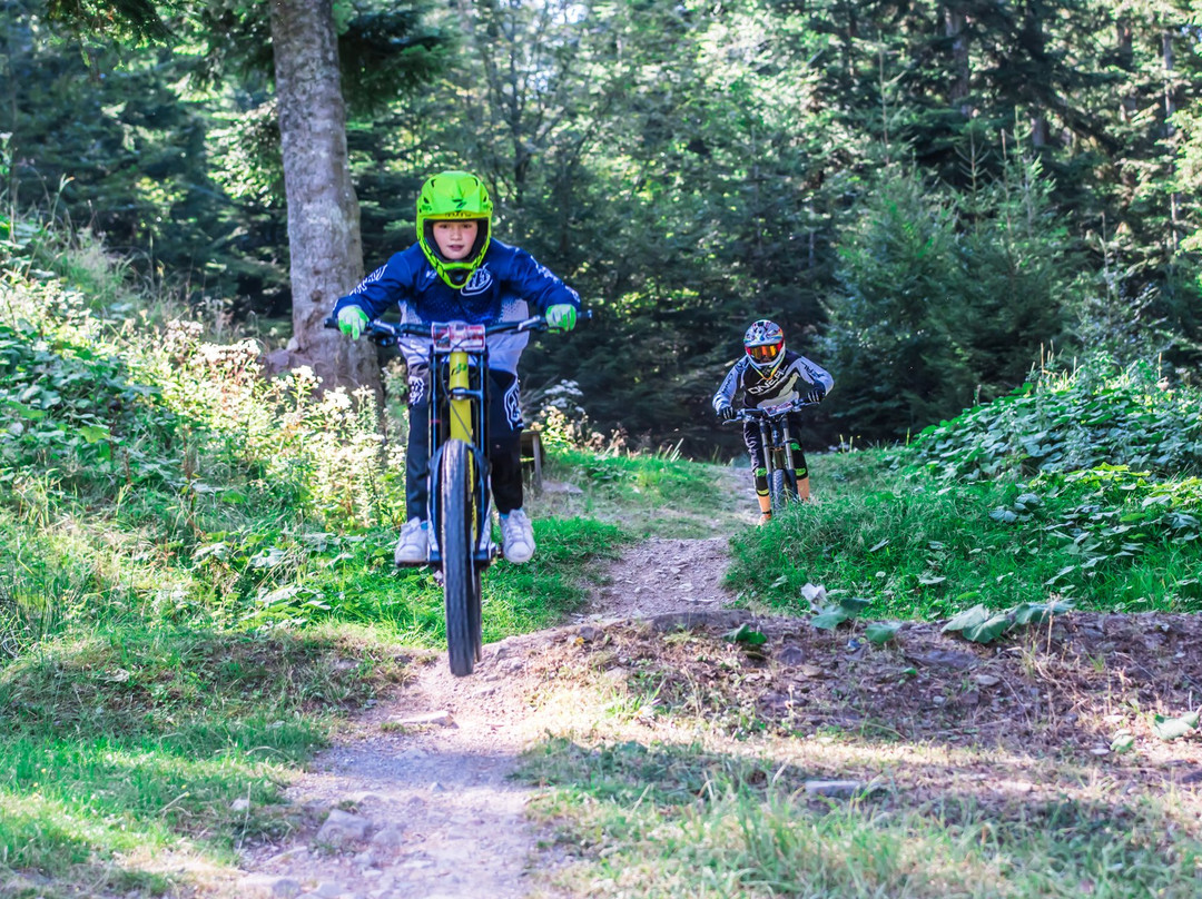 Bikepark Bad Wildbad景点图片