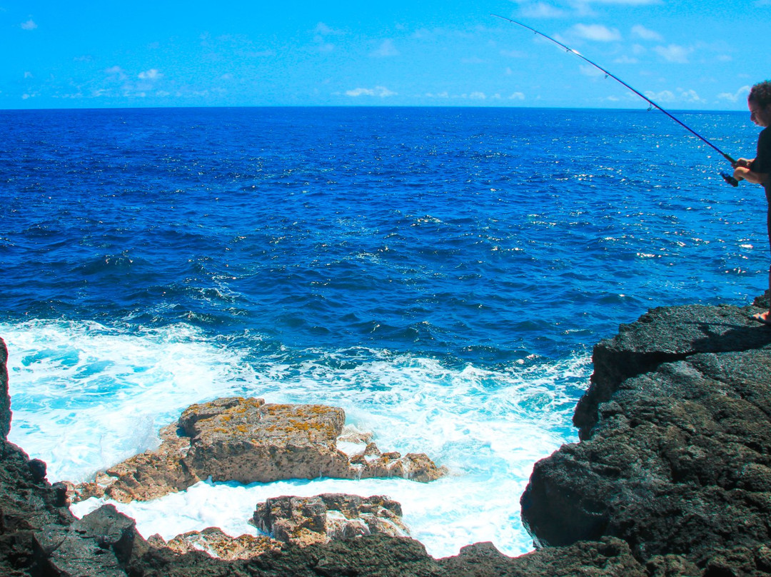 Pahoa Pool-帕霍亚必去景点