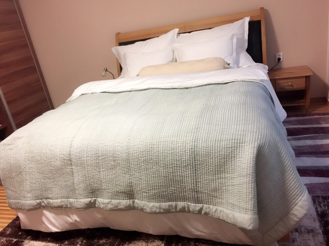 Prague Rafting-布拉格必去景点