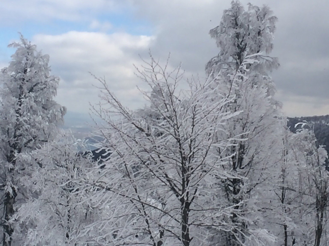 El Garden Hotel & Residence主图