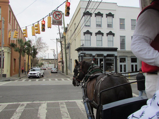 Charleston Adventures-美特尔海滩必去景点