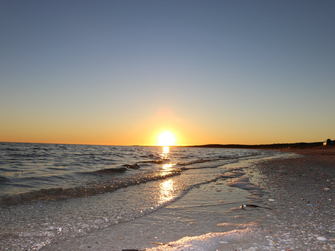 Nanga Shark Bay Caravan Park