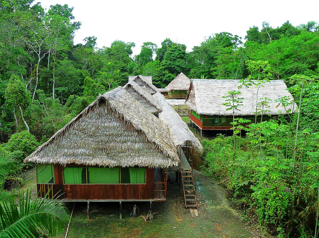 Wimba Tours & Lodge-伊基托斯必去景点