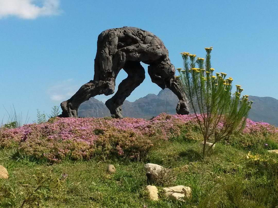 Dylan Lewis Sculpture  Garden景点图片