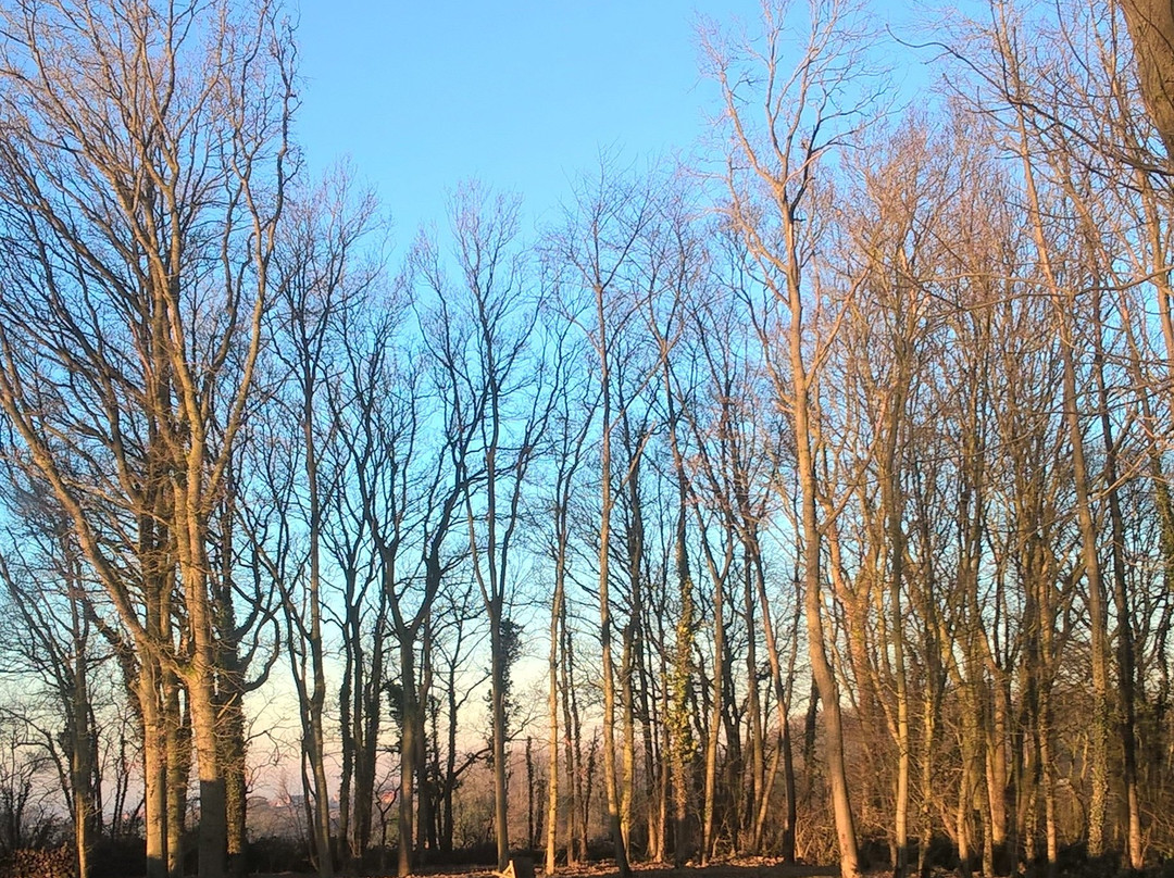 Camping La Becquerelle