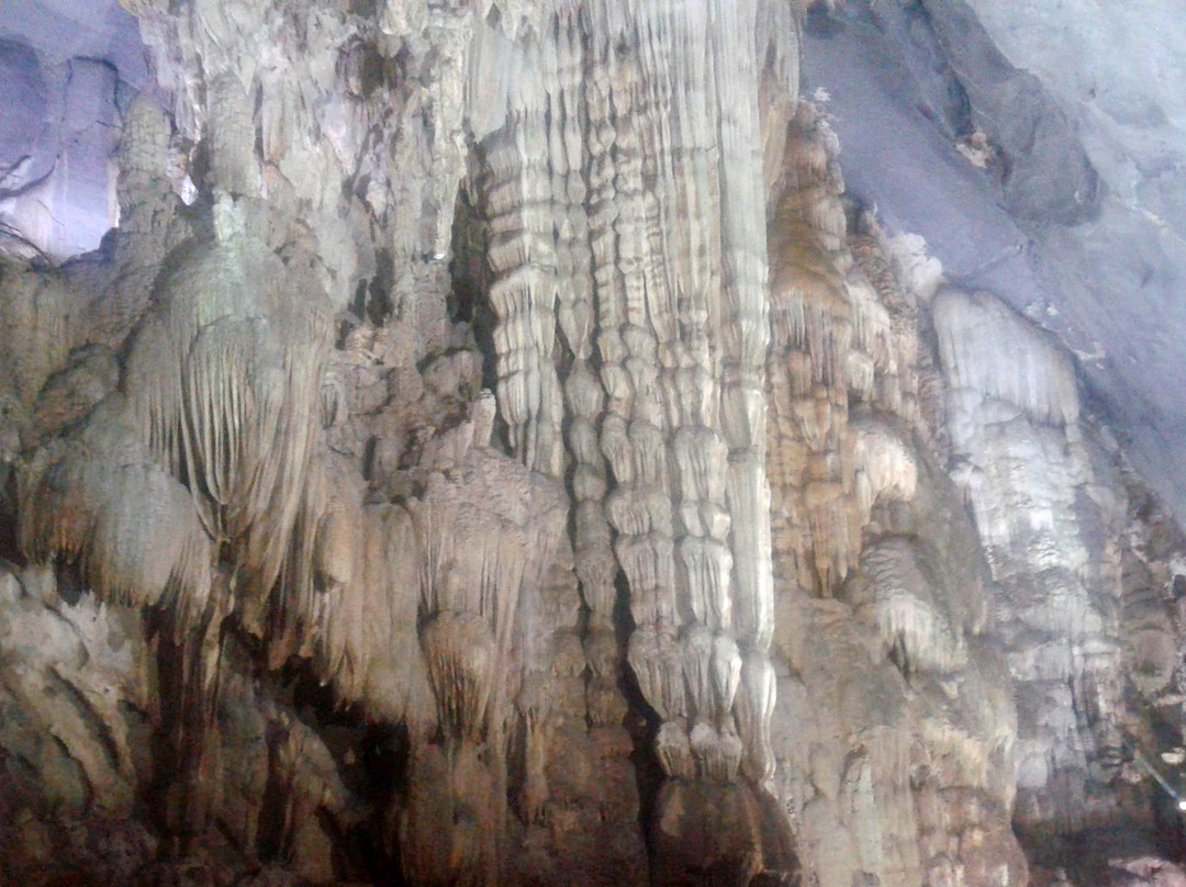 Phong Nha Daily Tours景点图片
