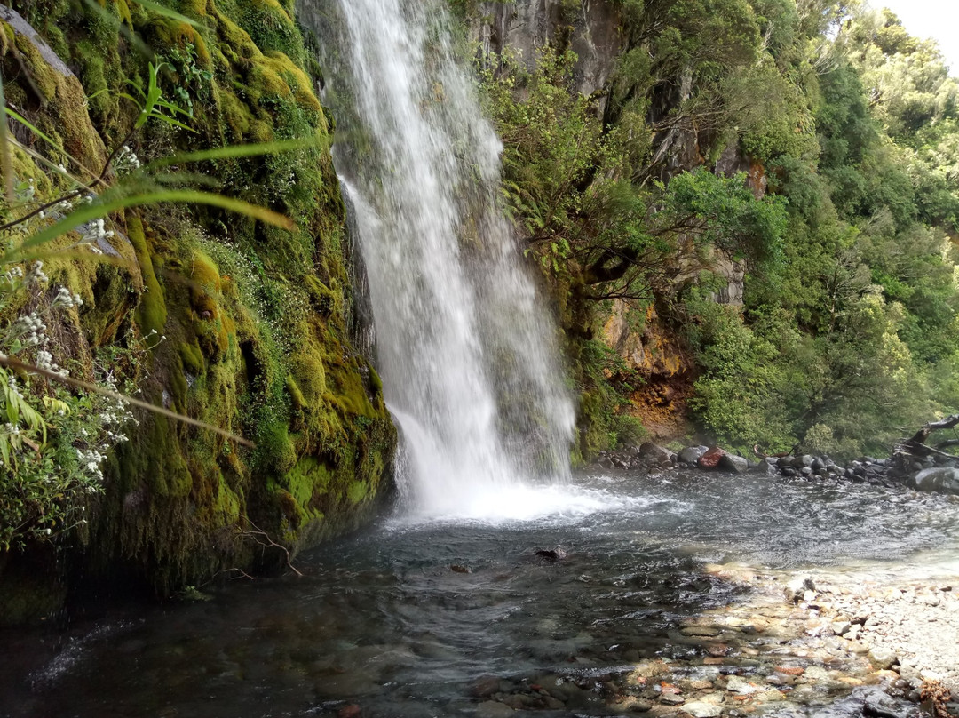 Dawson Falls Visitor Center景点图片