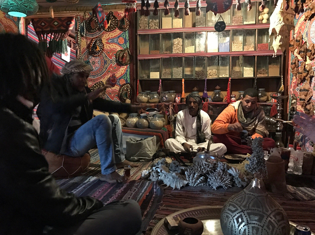 Badawya Tent of Mostafa & Bob-索马湾必去景点