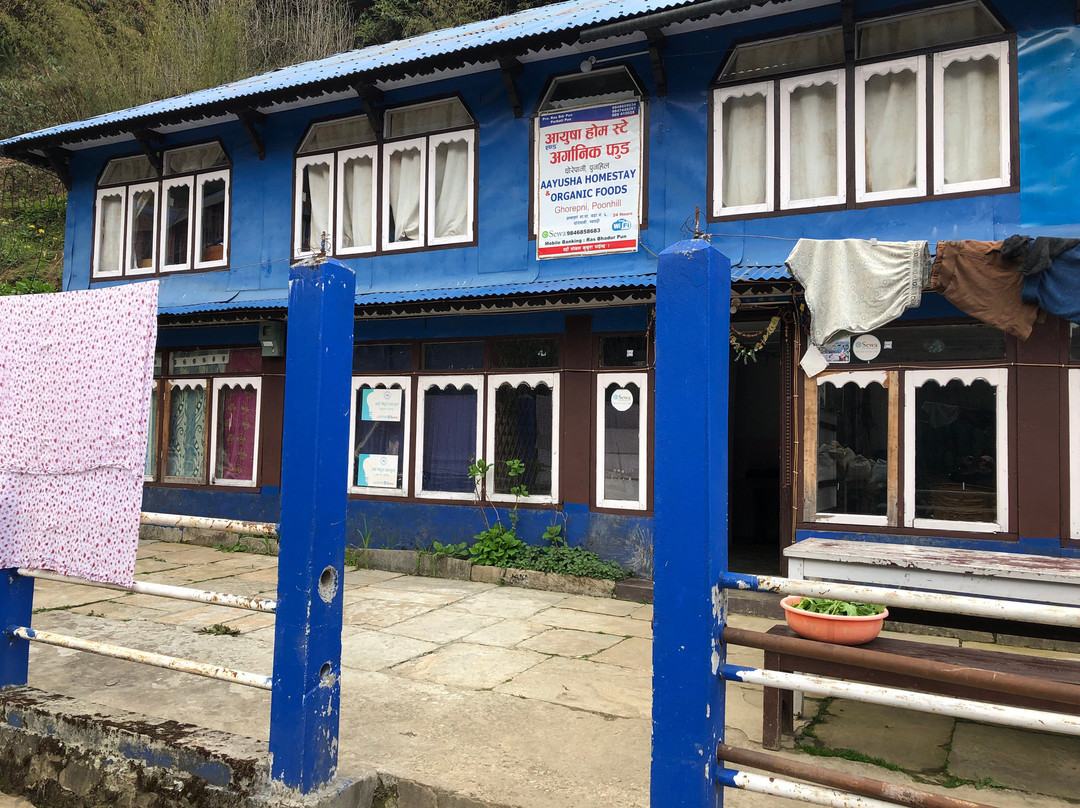 Aayusha Homestay And Organic Foods