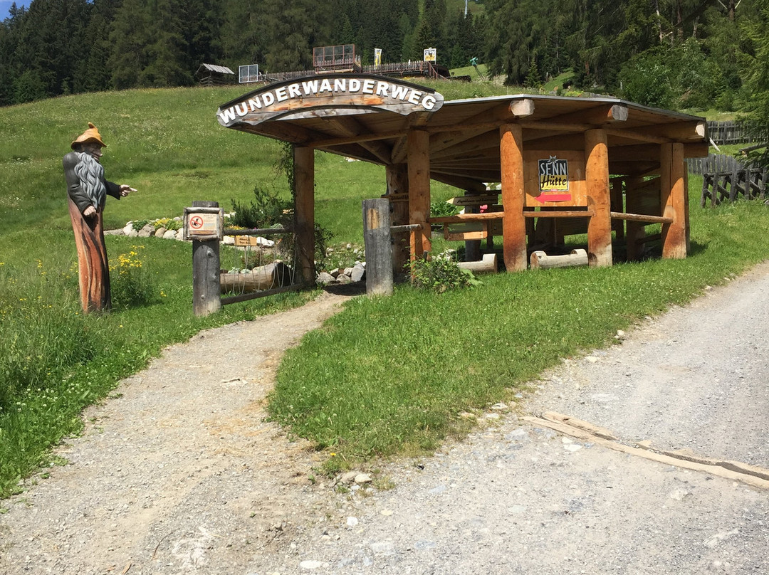 Senn's Wonder Walking Trail-圣安东阿尔山必去景点