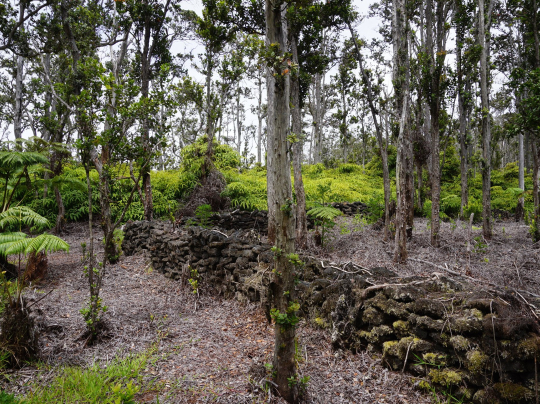 Napau-Makaopuhi Crater Trail景点图片