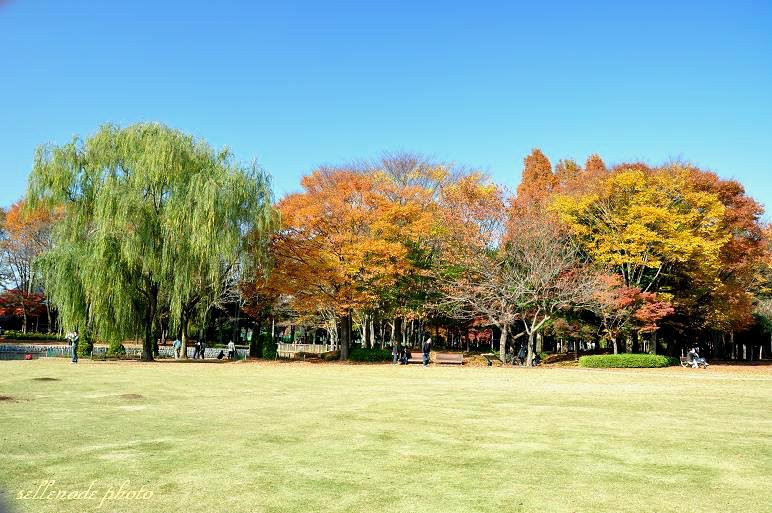 Doho Park-筑波市必去景点
