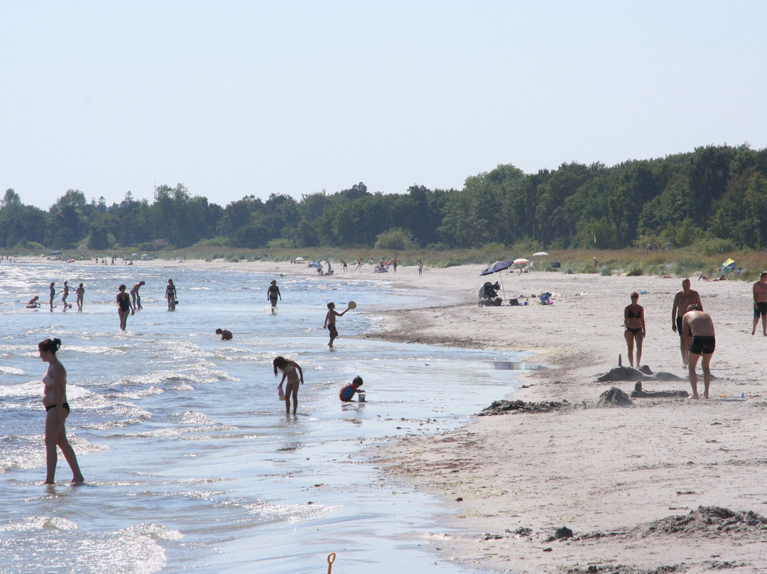 Bingsmarken Strand-Skurup必去景点