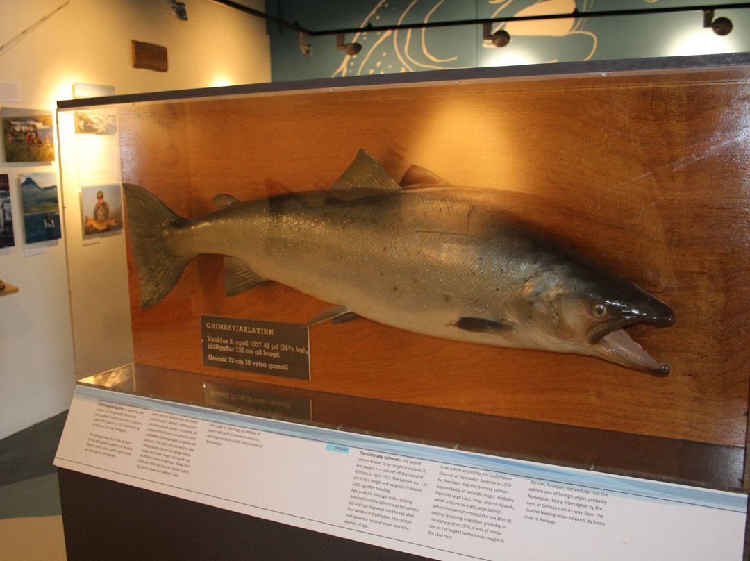 Icelandic Salmon Center-Blonduos必去景点