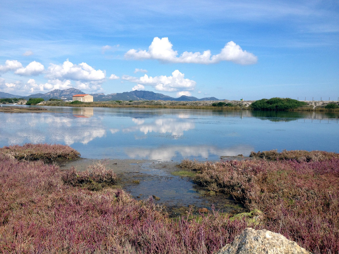 Spiaggia Marina Maria景点图片