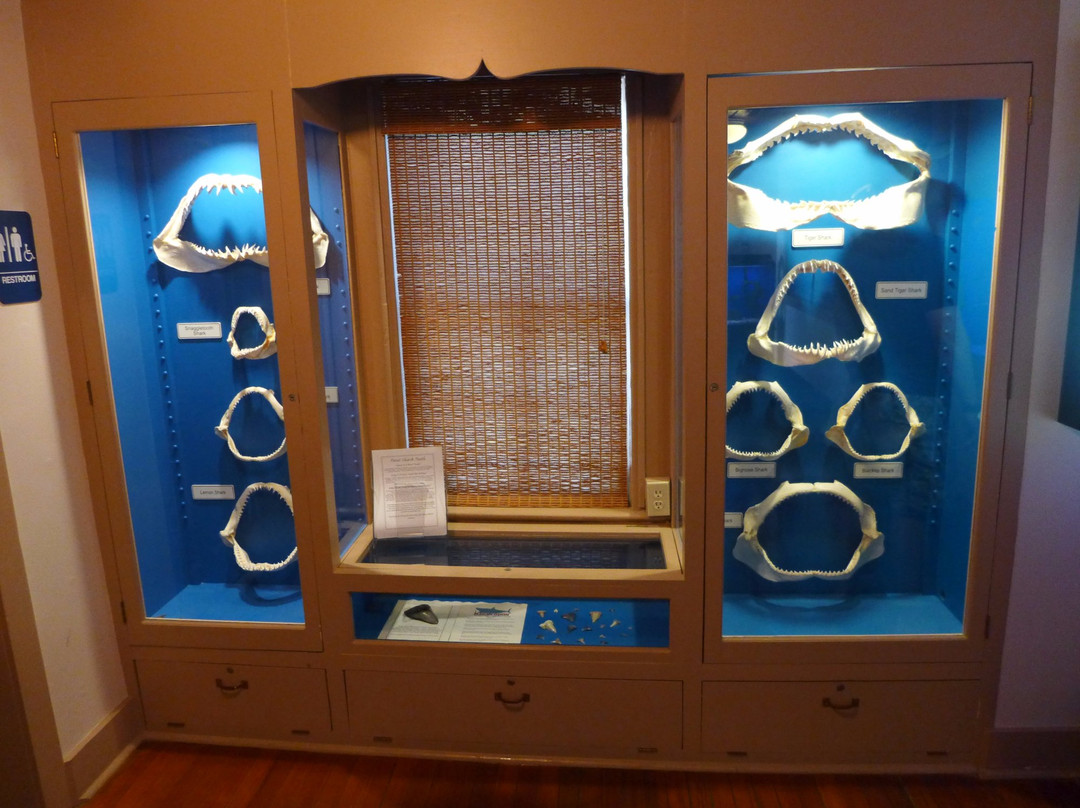 Ocean City Life-Saving Station Museum-大洋城必去景点