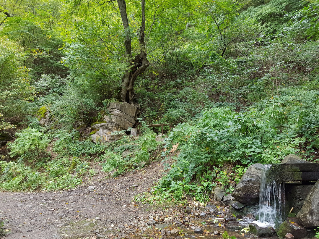 Halidzor Fortress景点图片