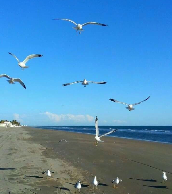 Playa Huatabampito景点图片