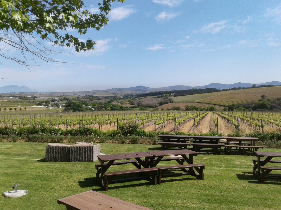 Alto Wine Estate-斯泰伦博斯必去景点