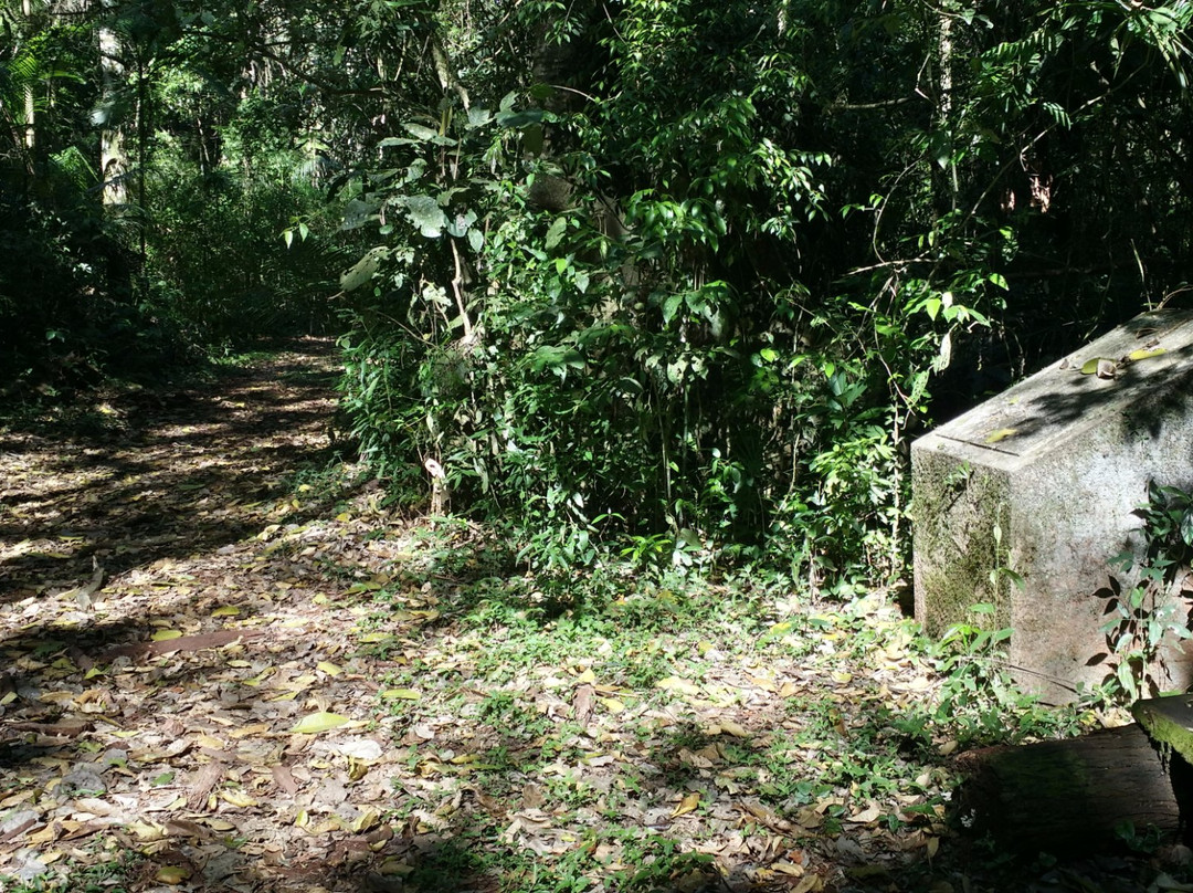 Parque Estadual Mata dos Godoy-Londrina必去景点