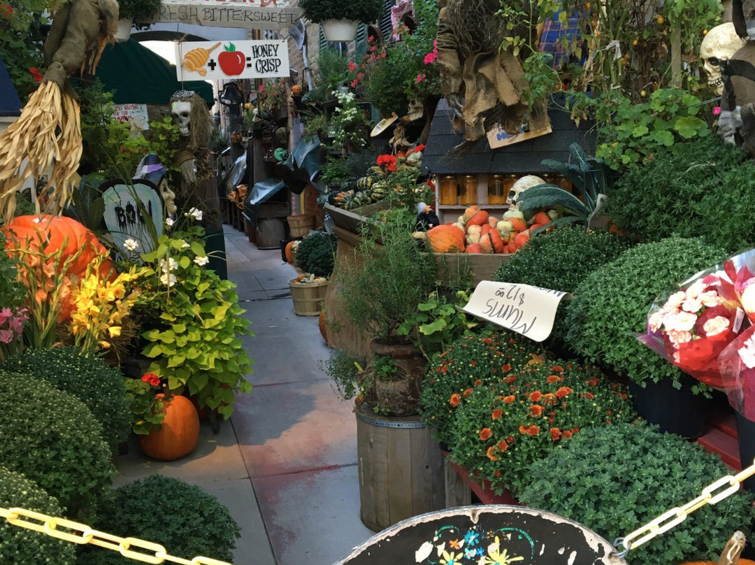 Market Square-Lake Forest必去景点