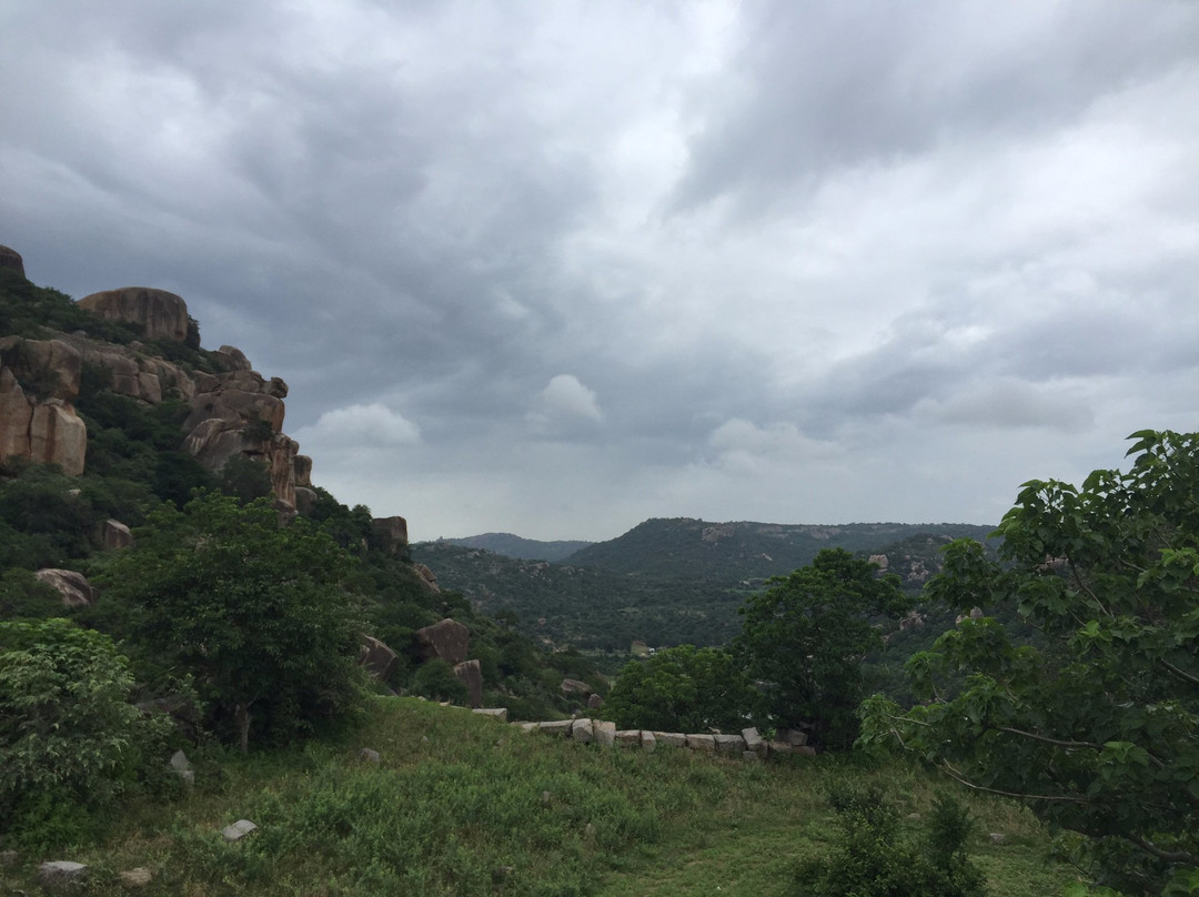 Rachakonda Fort景点图片