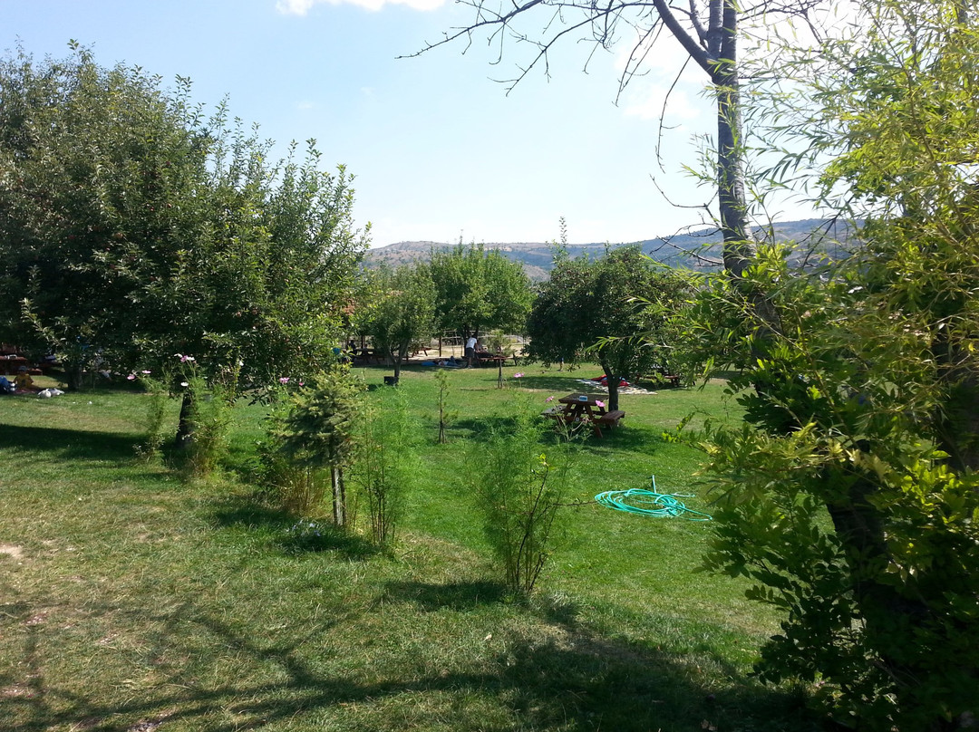 Ozbek At Çiftliği-安卡拉必去景点