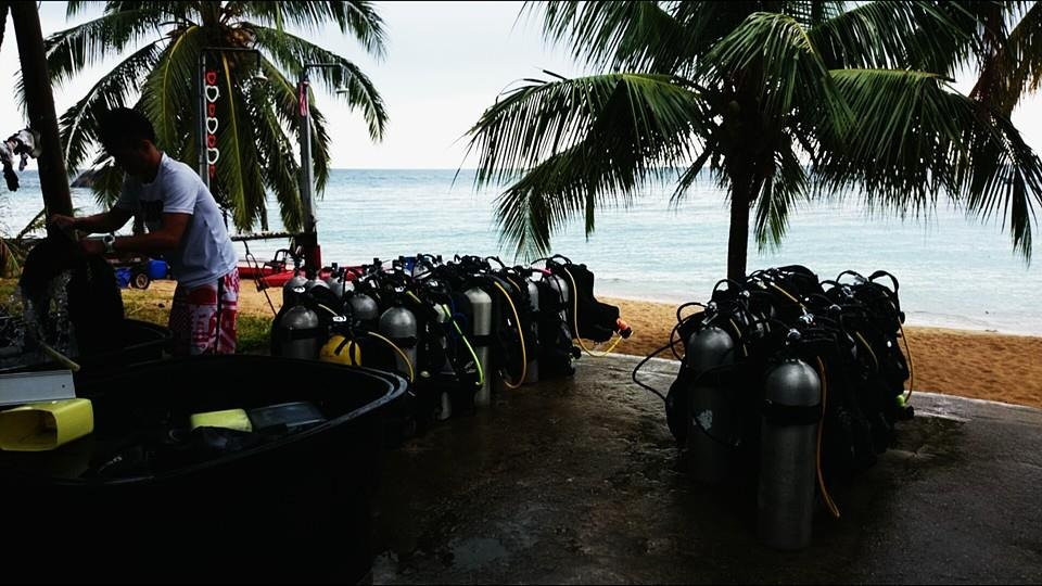 Tioman Dive Buddy景点图片