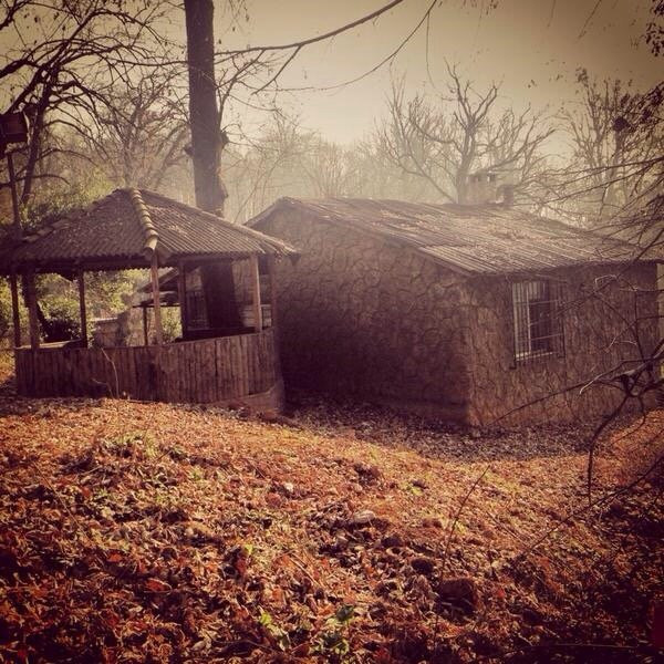 Kaymakdonduran Mesire Ormani-伊斯坦布尔必去景点