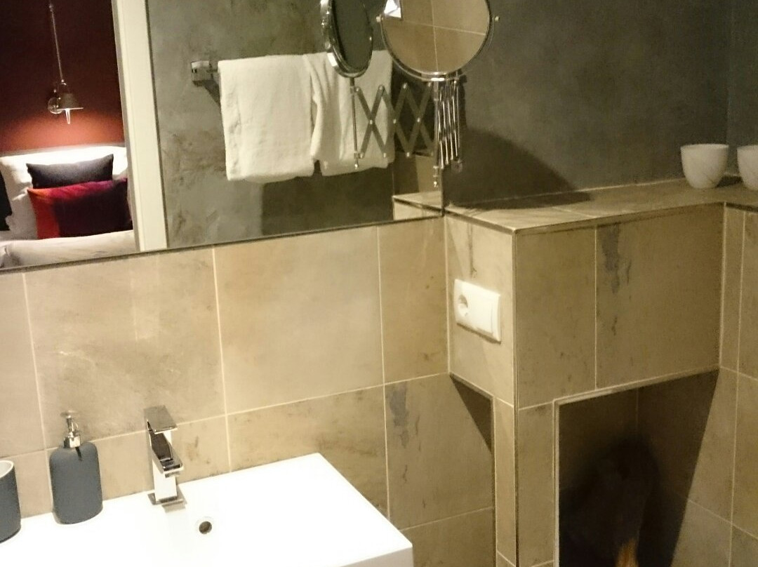 Aparthotel Flughafen Leipzig主图