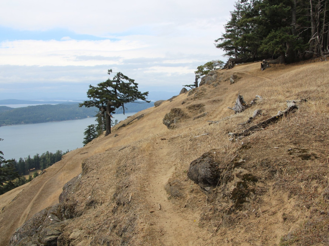 Mount Warburton Pike景点图片