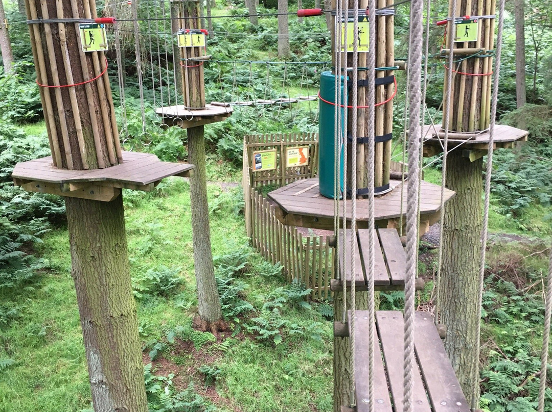 Go Ape Glentress Forest, Peebles-皮布尔斯必去景点