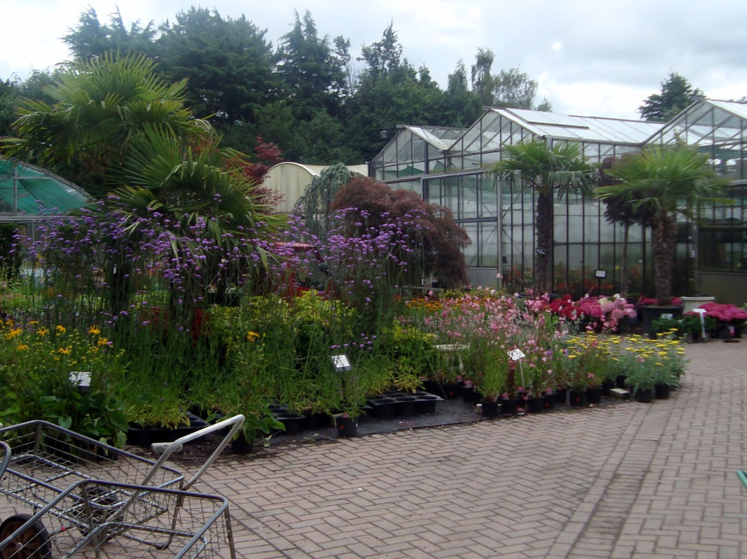 Marbury Hall Nurseries-Northwich必去景点