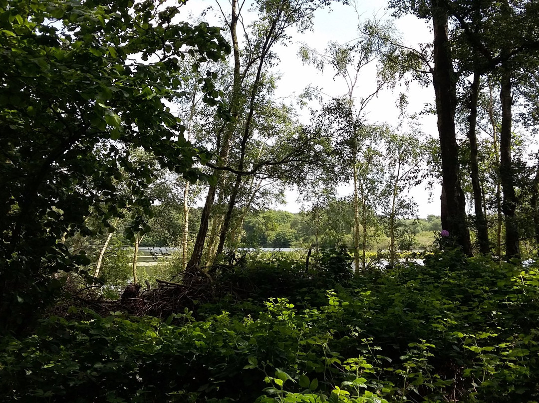 Mere Sands Wood Nature Reserve景点图片
