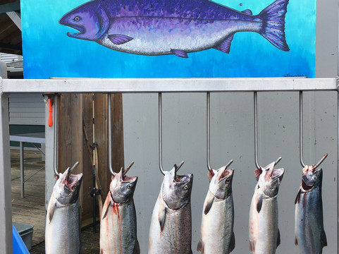 Ketchikan Charter Boats-凯奇坎必去景点