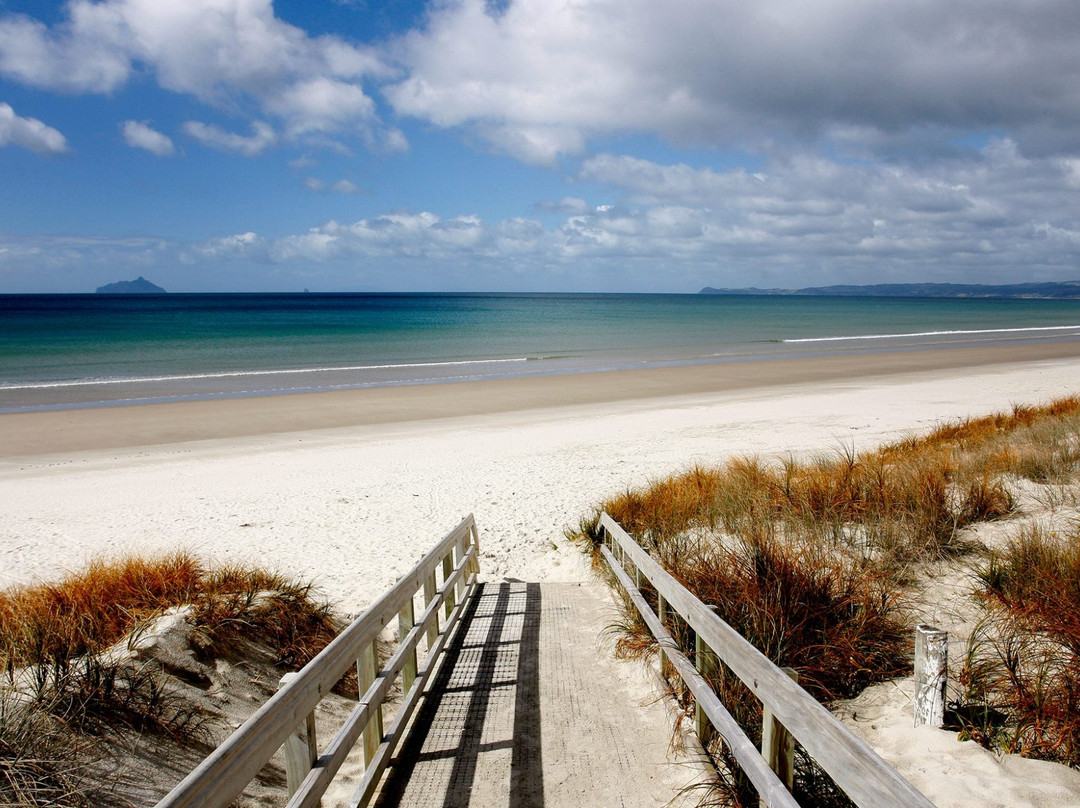 Ruakaka Beach景点图片