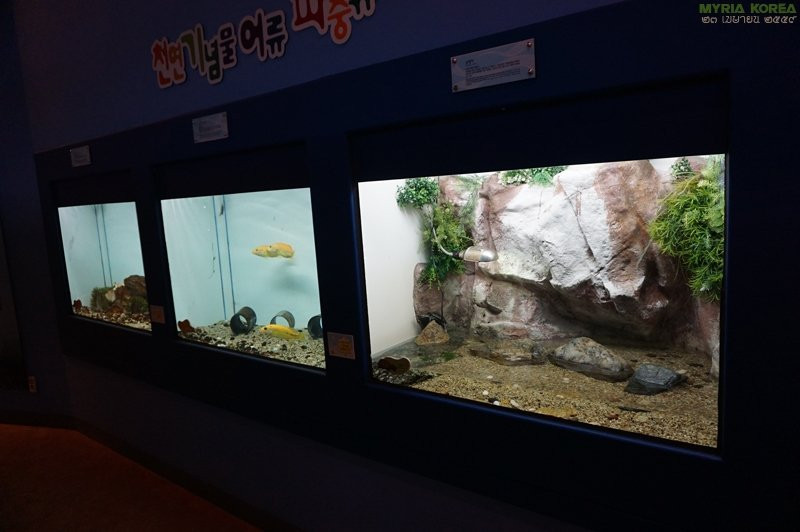 National Heritage Center-大田必去景点