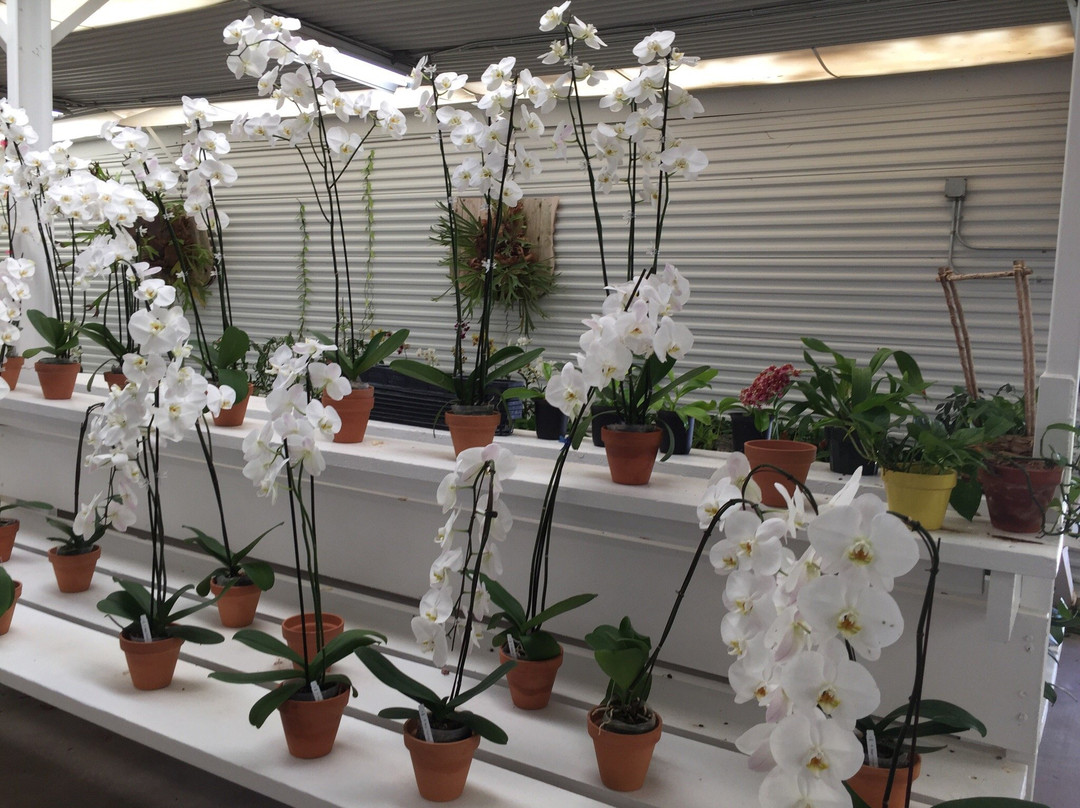 Gubler Orchids-Landers必去景点